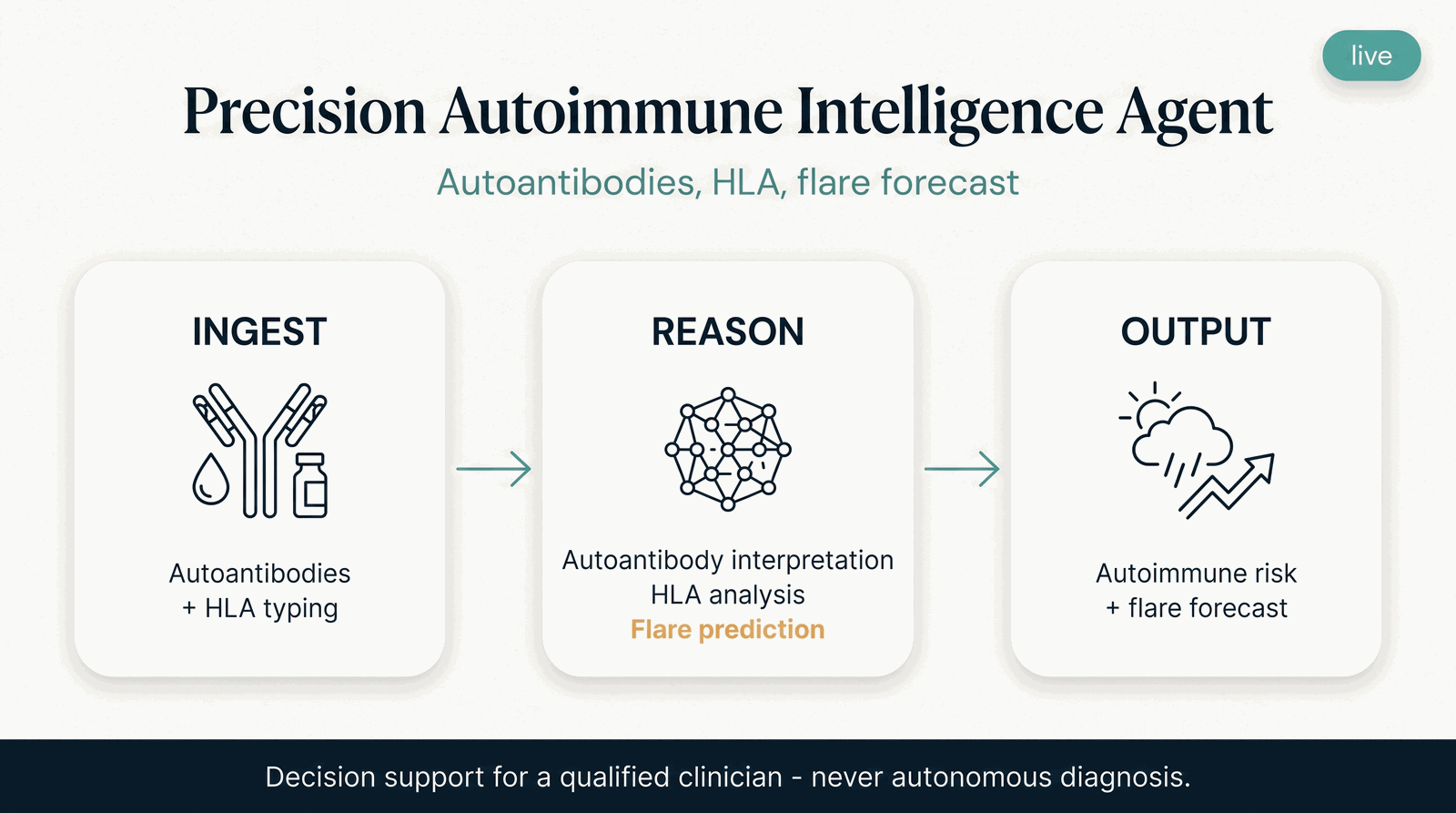 Precision Autoimmune Intelligence Agent — what it takes in, what it computes, what it returns