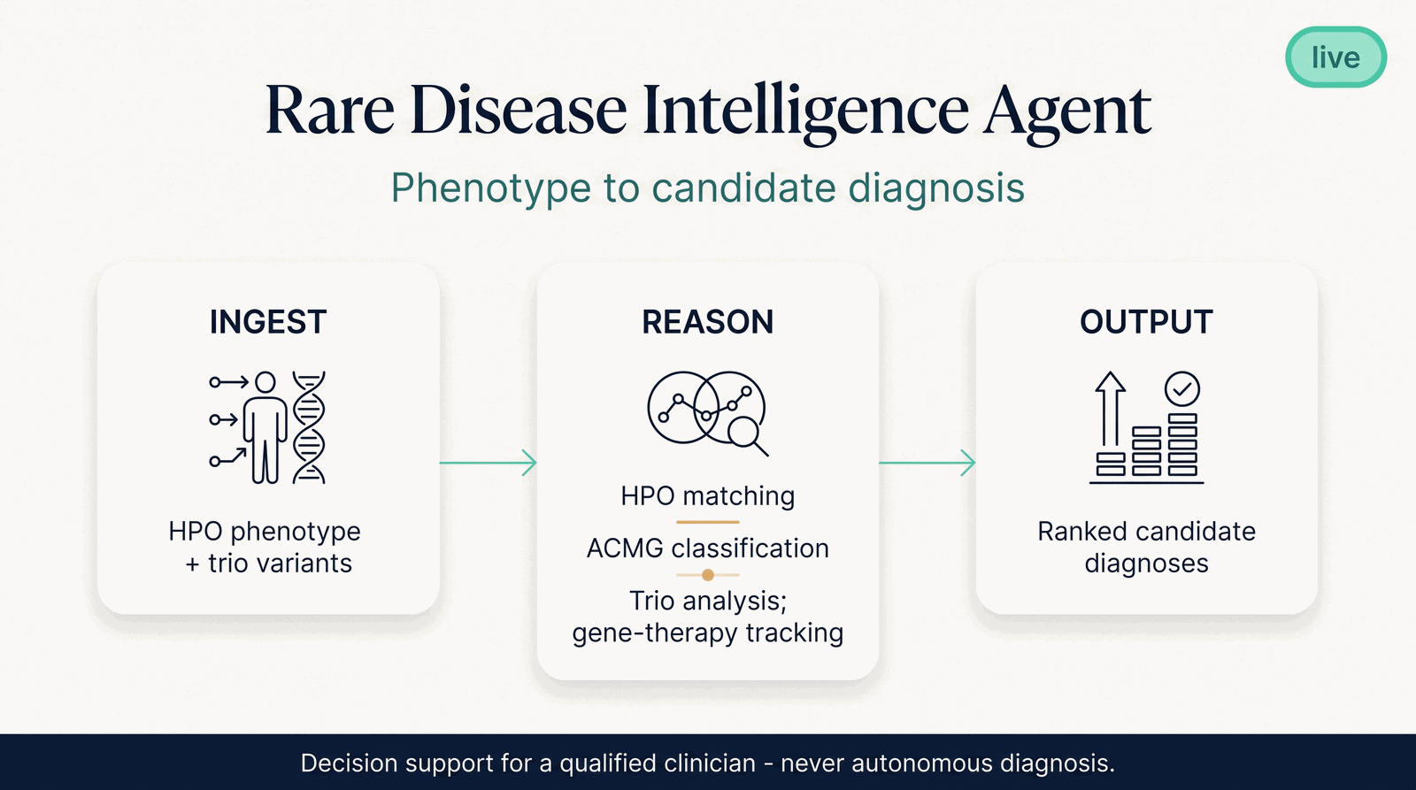 Rare Disease Intelligence Agent — what it takes in, what it computes, what it returns