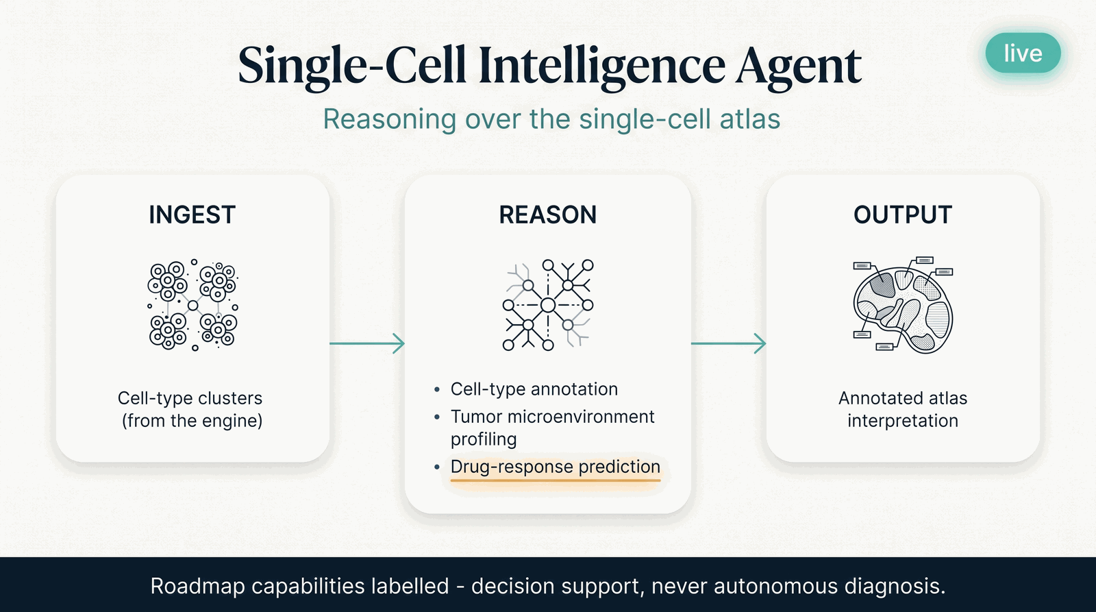 Single-Cell Intelligence Agent — what it takes in, what it computes, what it returns