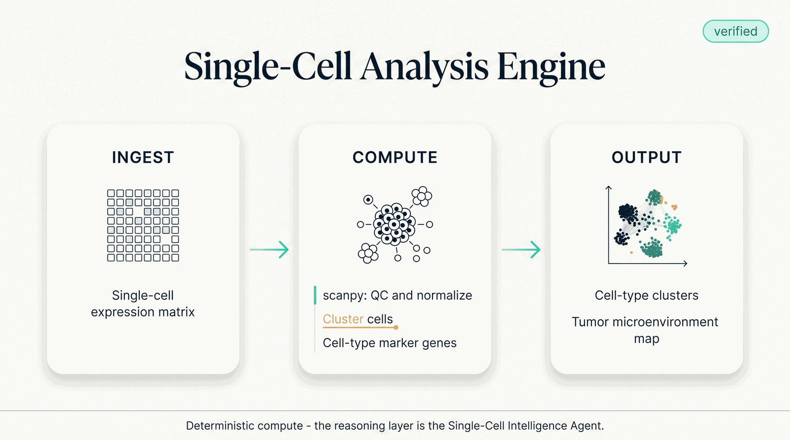 Single-Cell Analysis Engine — what it takes in, what it computes, what it returns