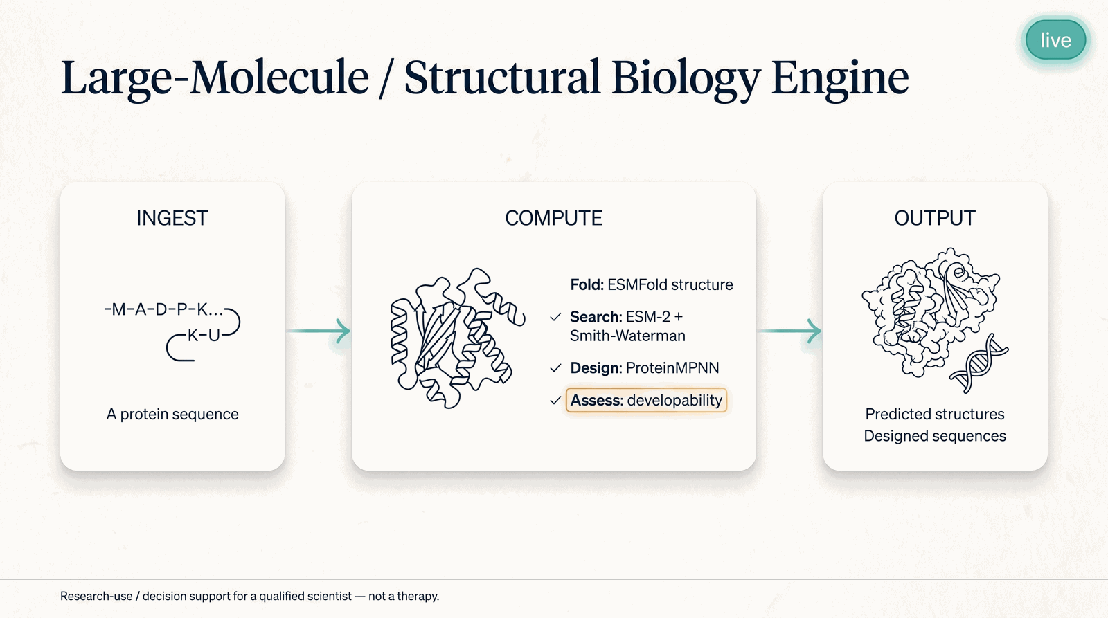 Large-Molecule / Structural Biology Engine — what it takes in, what it computes, what it returns