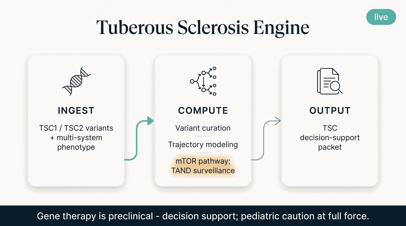 Tuberous Sclerosis Engine — what it takes in, what it computes, what it returns