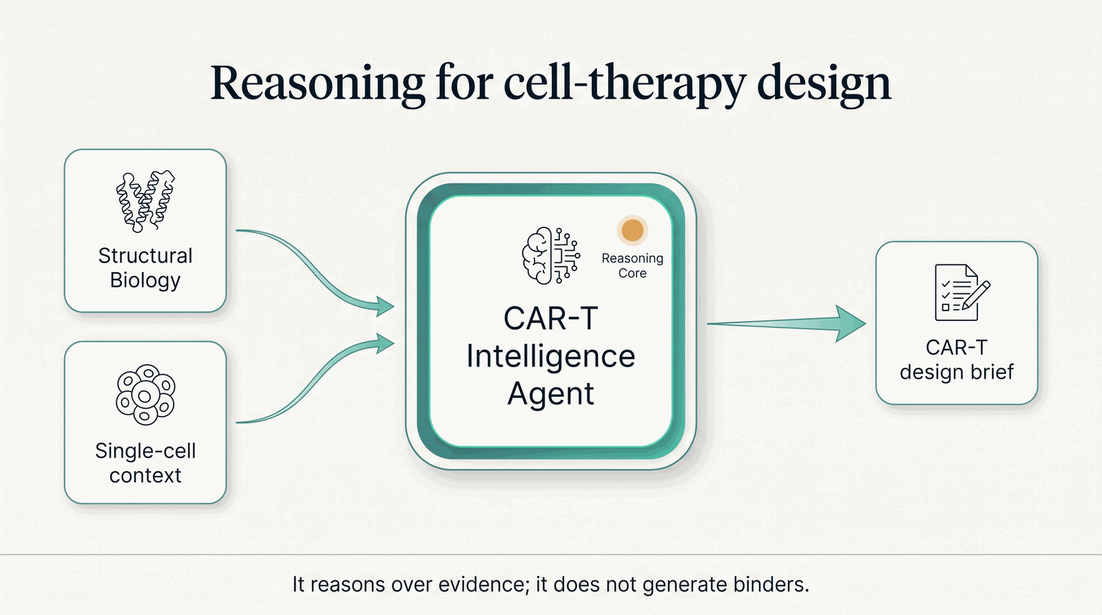 Where the CAR-T agent sits — reasoning with structural biology and single-cell