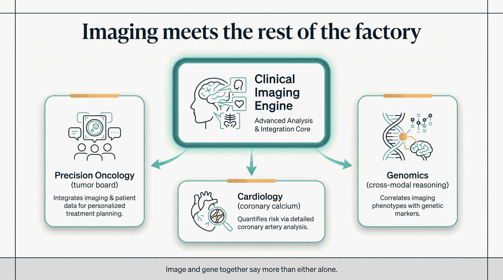 Where the Clinical Imaging Engine sits — feeding oncology, cardiology, and cross-modal reasoning