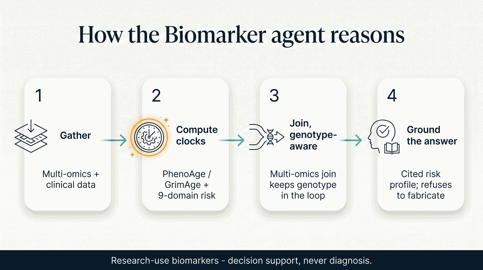 How the Biomarker agent reasons — multi-omics to biological-age clocks to genotype-aware risk