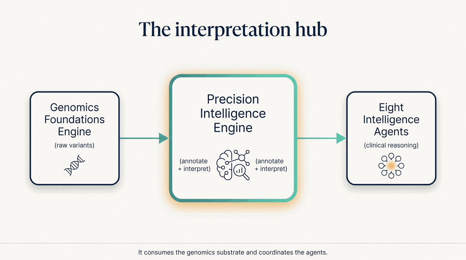 Where the Precision Intelligence Engine sits — between genomics and the eight agents