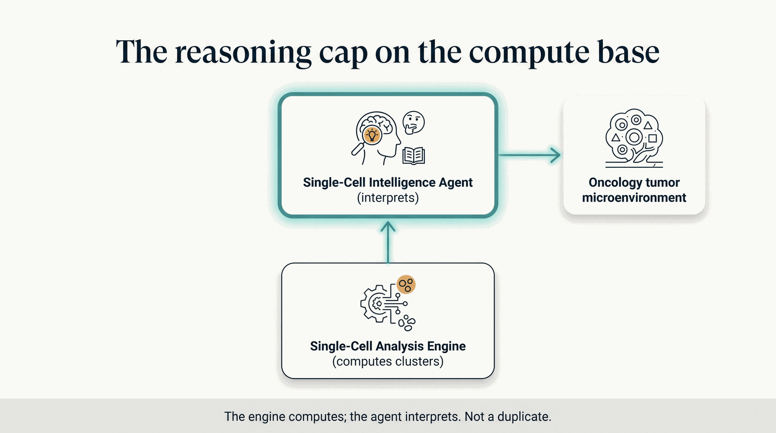Where the Single-Cell agent sits — the reasoning cap on the compute engine