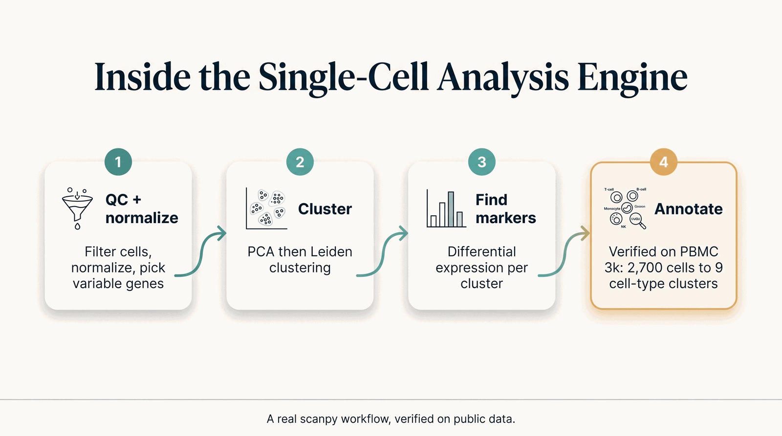 Inside the Single-Cell Analysis Engine — QC, normalize, cluster, annotate cell types