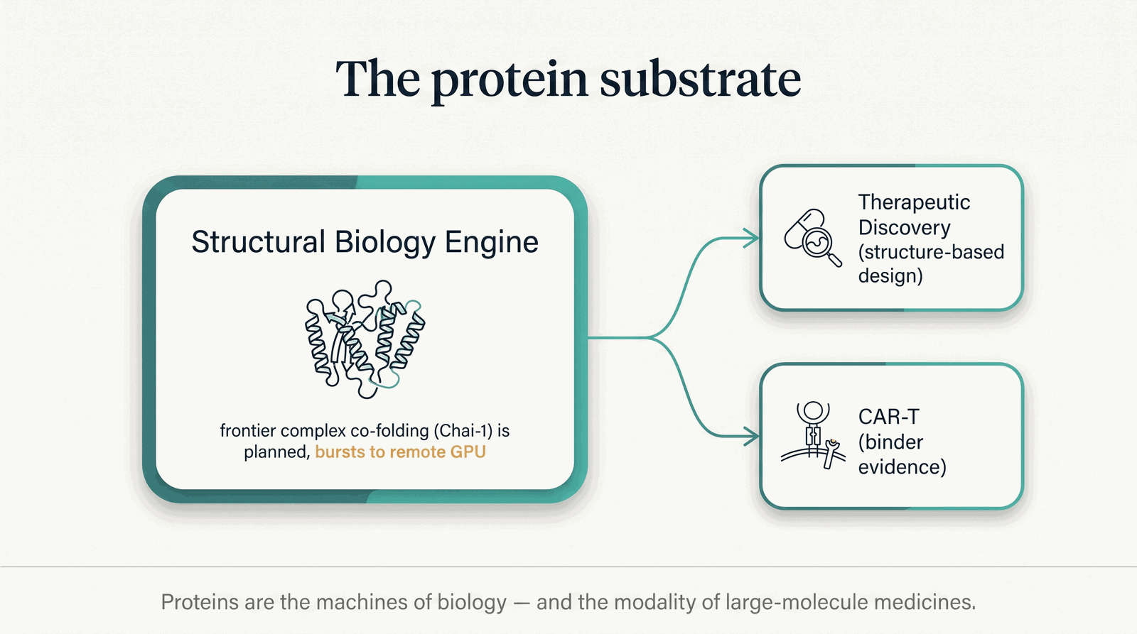 Where the Structural Biology Engine sits — feeding therapeutic discovery and cell-therapy design