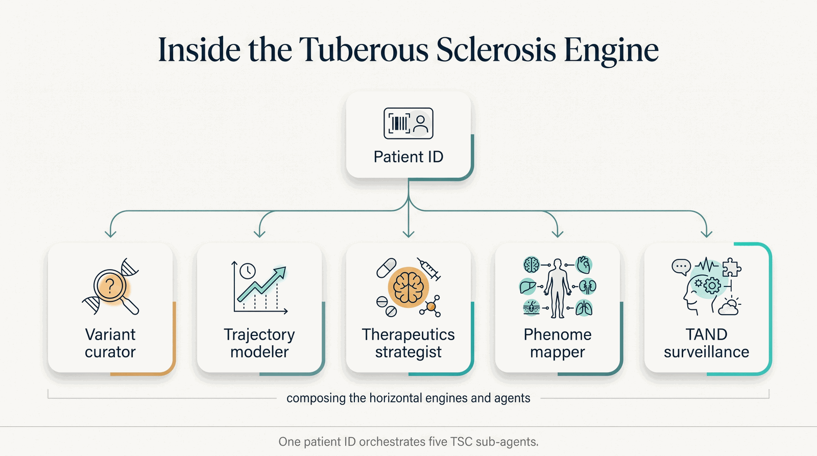 Inside the Tuberous Sclerosis Engine — five sub-agents composing the horizontal factory