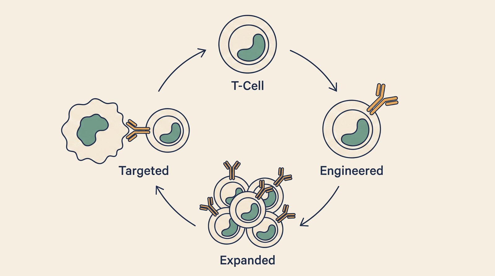 CAR-T Intelligence — process overview
