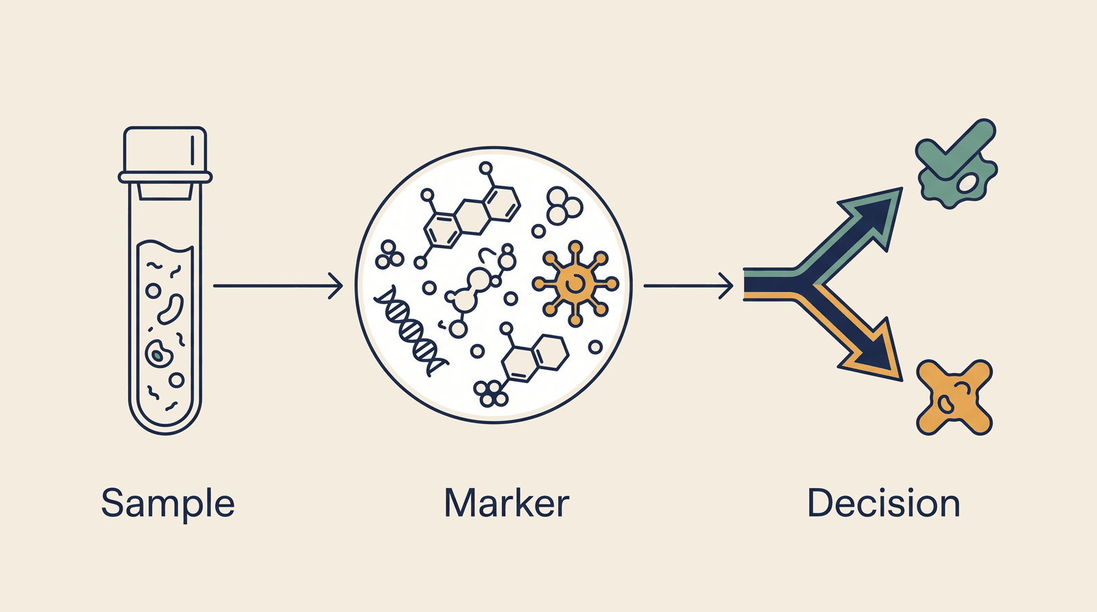 Precision Biomarker — process overview