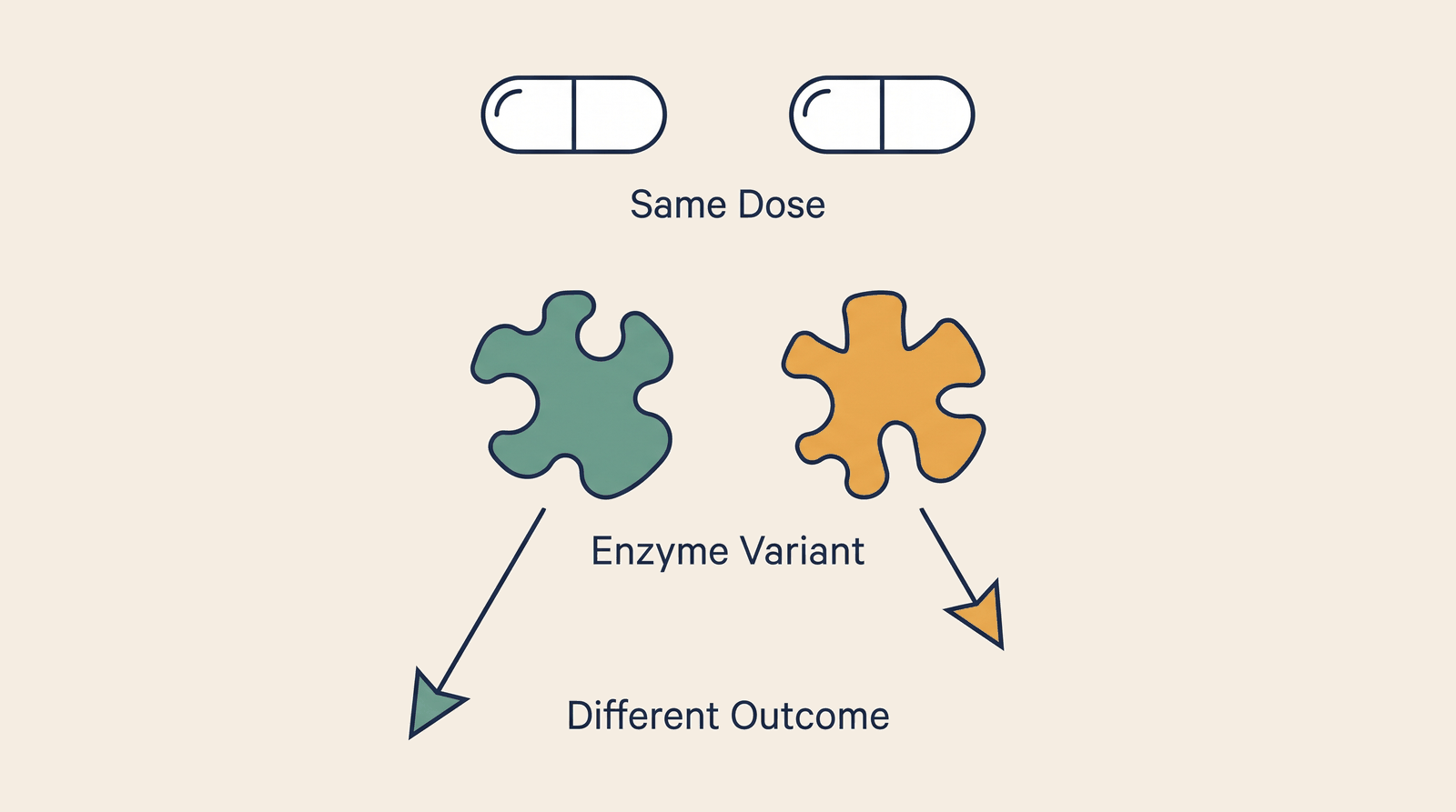 Pharmacogenomics — process overview