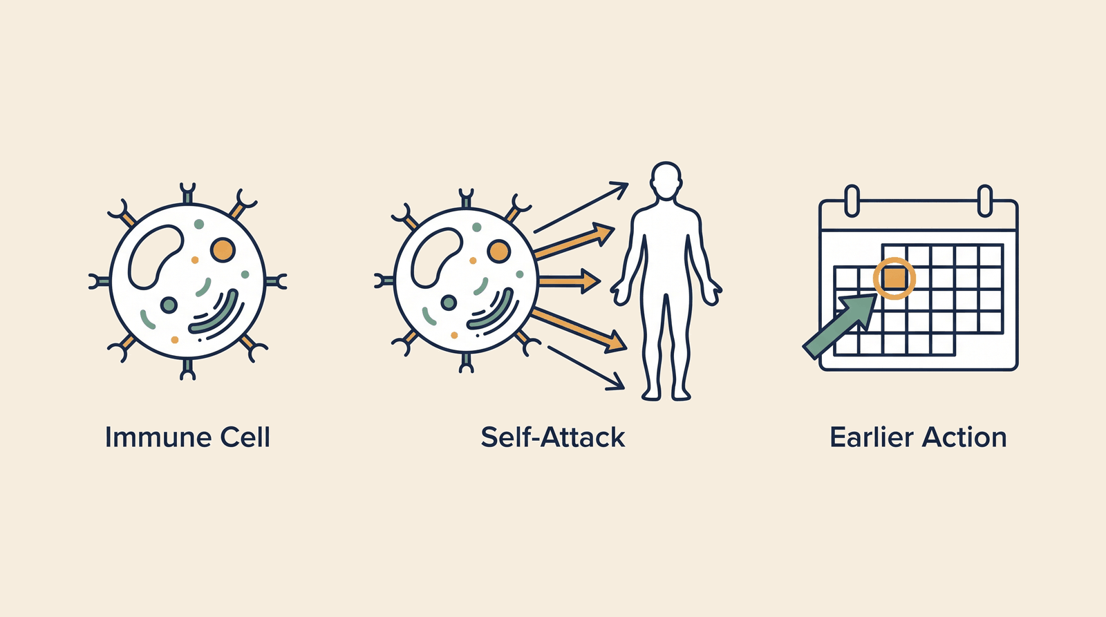 Precision Autoimmune — process overview