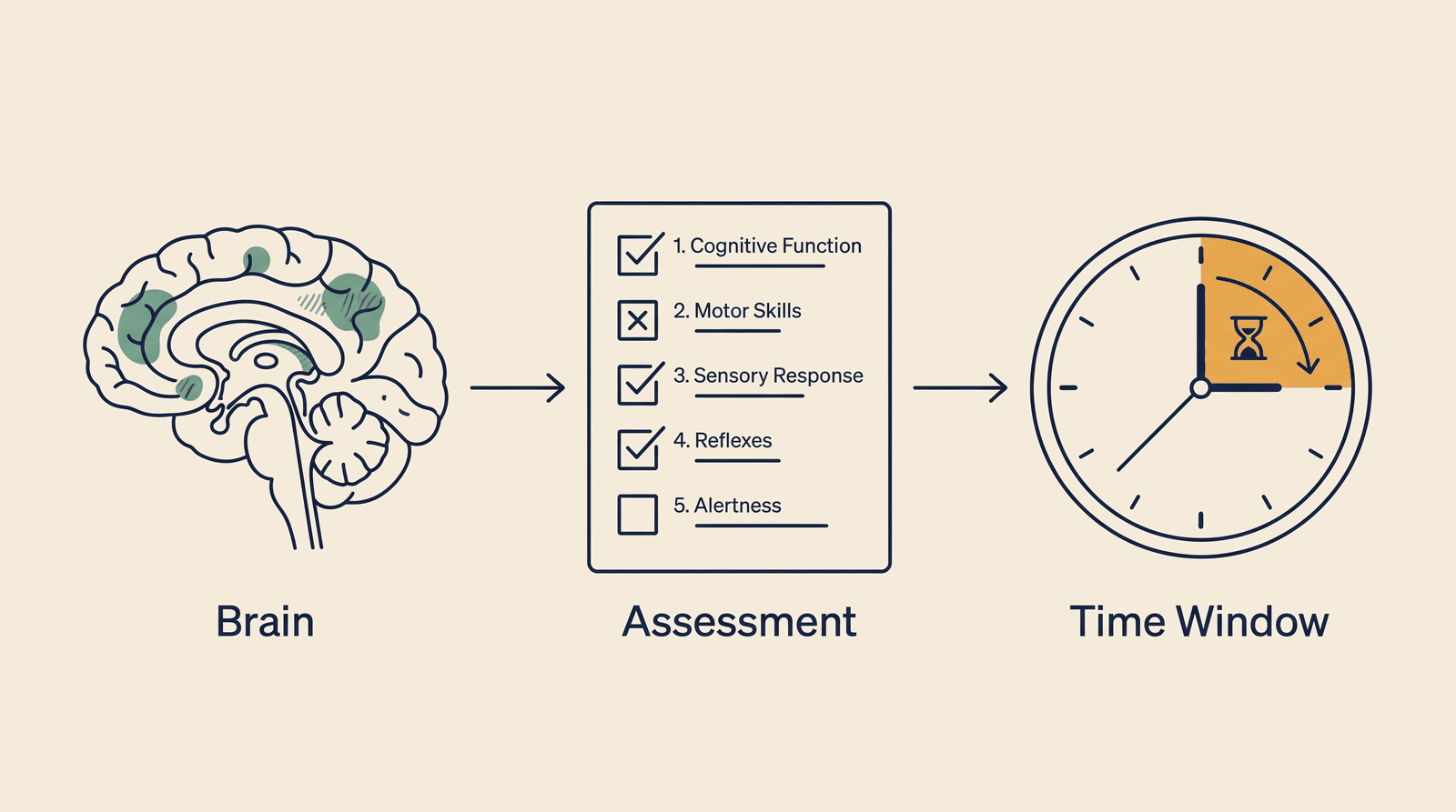 Neurology Intelligence — process overview