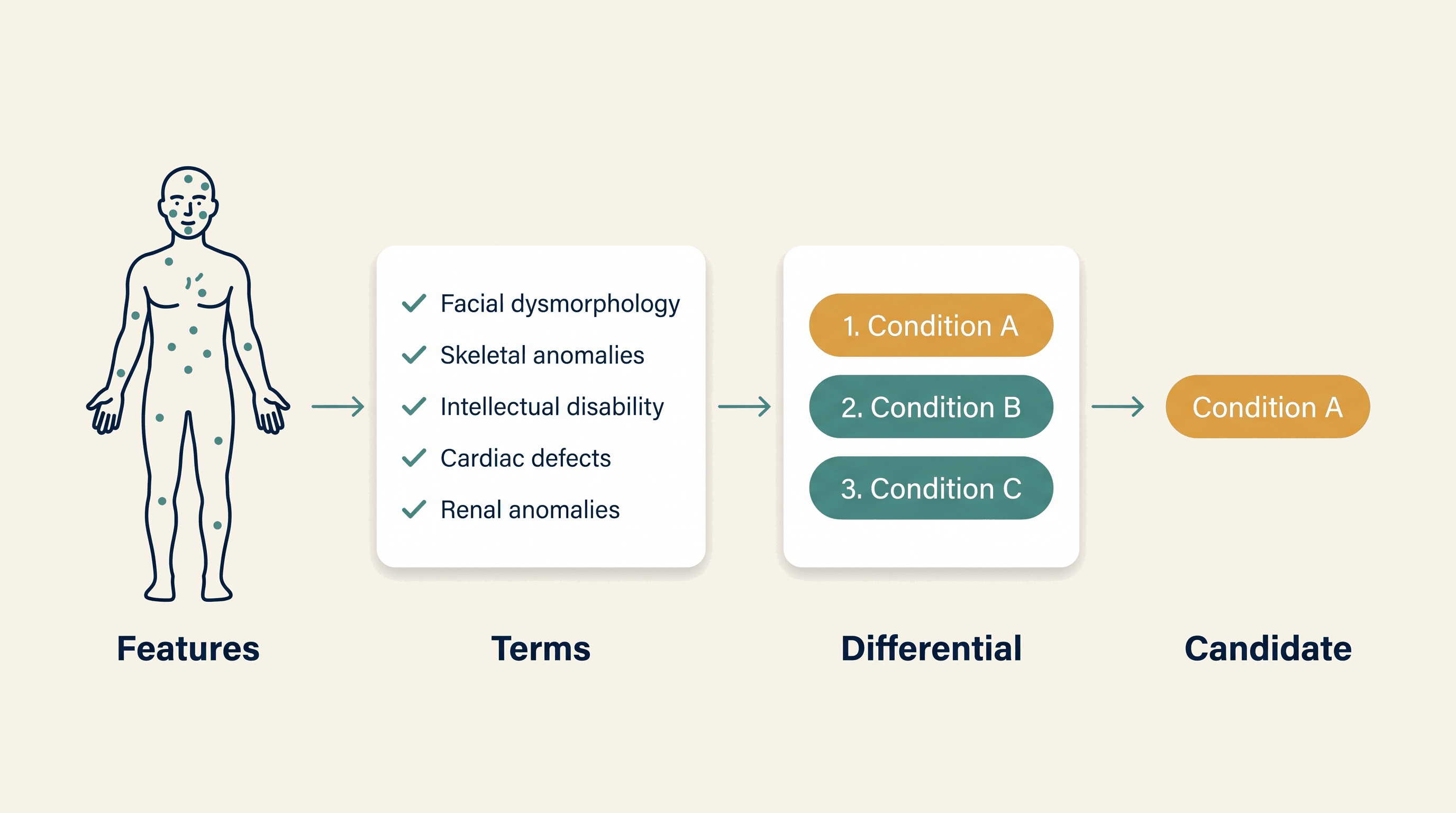 Rare Disease Diagnostic — process overview