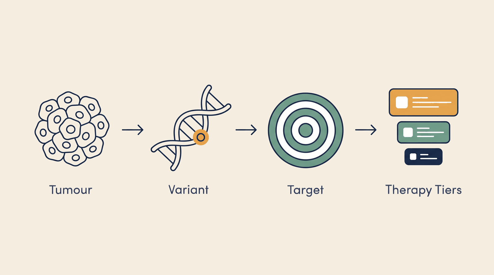 Precision Oncology — process overview