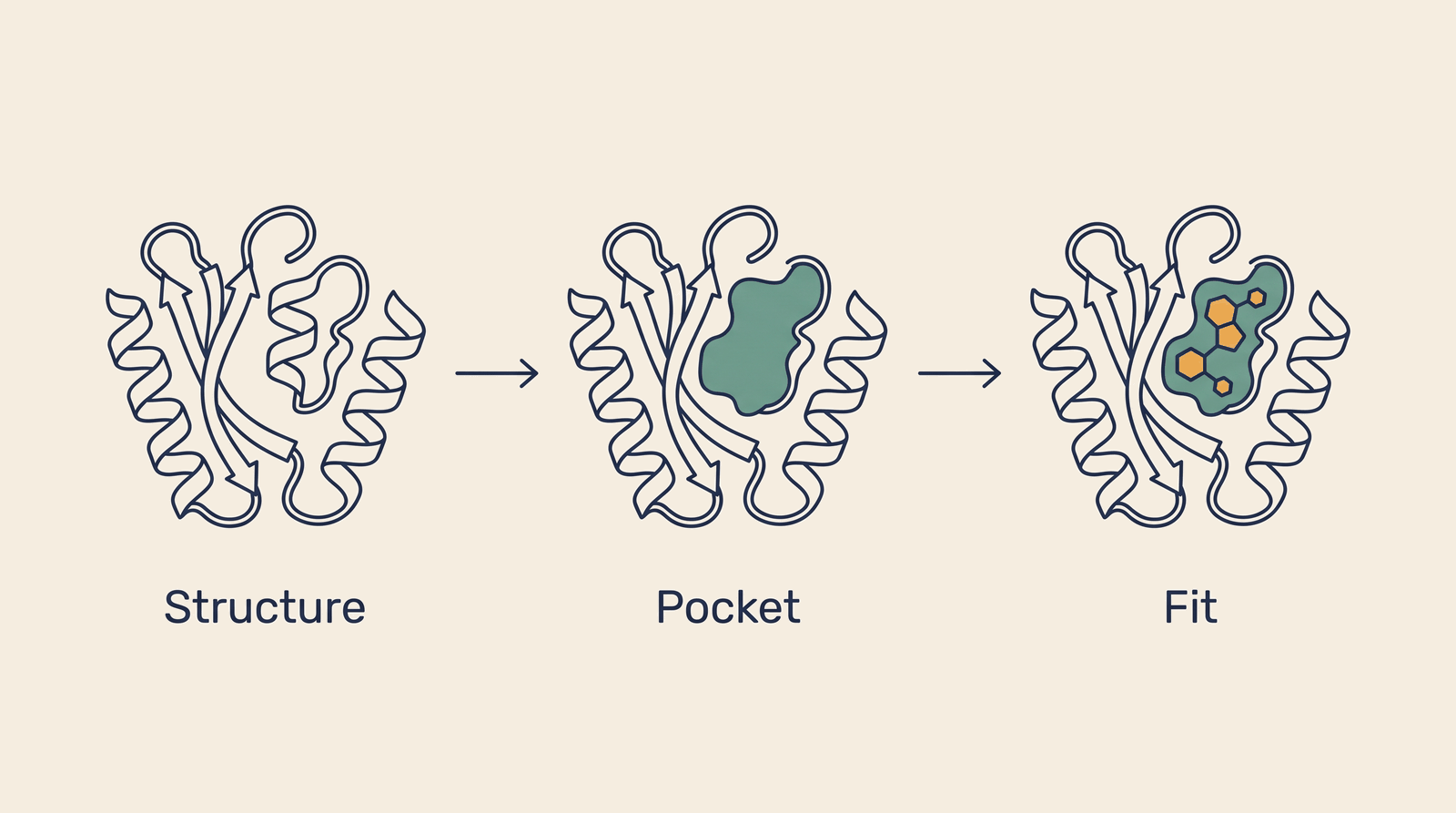 Structural Biology — process overview