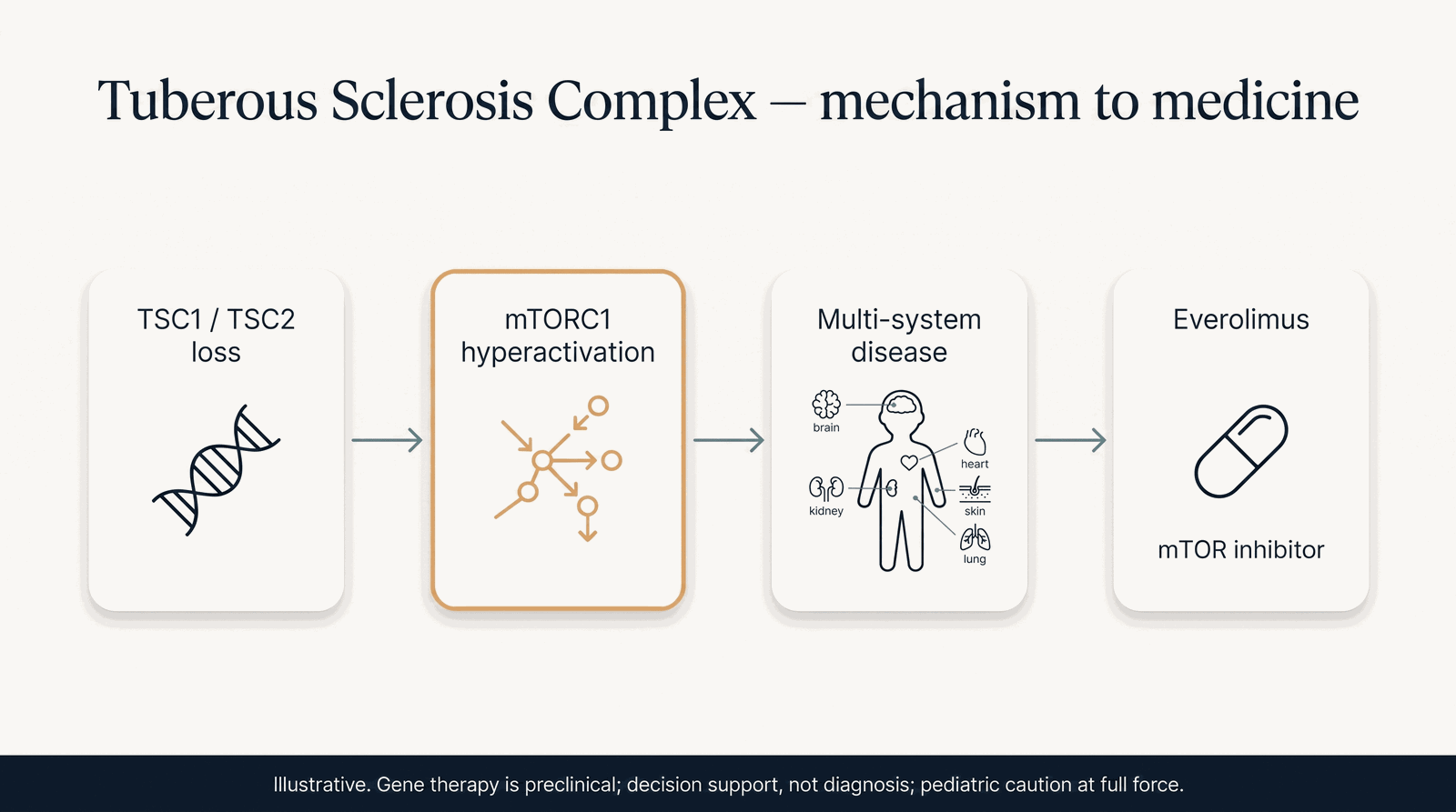 Tuberous Sclerosis Complex — mechanism to medicine